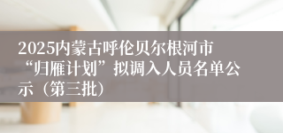2025内蒙古呼伦贝尔根河市“归雁计划”拟调入人员名单公示（第三批）