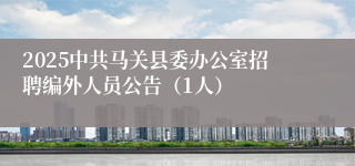 2025中共马关县委办公室招聘编外人员公告（1人）