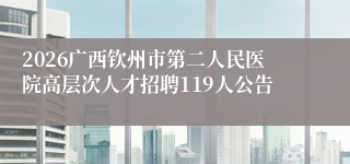 2026广西钦州市第二人民医院高层次人才招聘119人公告