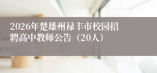 2026年楚雄州禄丰市校园招聘高中教师公告（20人）