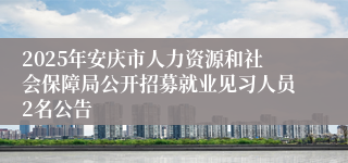 2025年安庆市人力资源和社会保障局公开招募就业见习人员2名公告