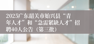 2025广东韶关市始兴县“青年人才”和“急需紧缺人才”招聘40人公告(第三批)