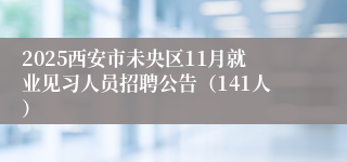 2025西安市未央区11月就业见习人员招聘公告(141人)