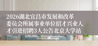 2026湖北宜昌市发展和改革委员会所属事业单位招才兴业人才引进招聘3人公告北京大学站