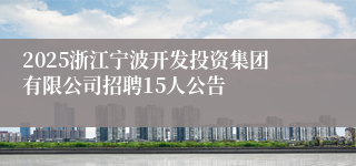 2025浙江宁波开发投资集团有限公司招聘15人公告