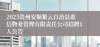 2025贵州安顺紫云自治县惠信物业管理有限责任公司招聘1人公告