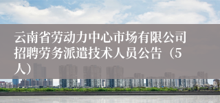 云南省劳动力中心市场有限公司招聘劳务派遣技术人员公告(5人)
