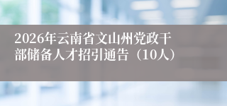 2026年云南省文山州党政干部储备人才招引通告（10人）