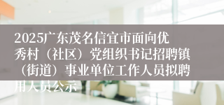 2025广东茂名信宜市面向优秀村（社区）党组织书记招聘镇（街道）事业单位工作人员拟聘用人员公示
