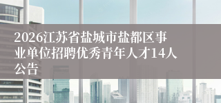 2026江苏省盐城市盐都区事业单位招聘优秀青年人才14人公告