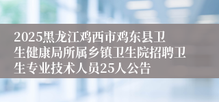 2025黑龙江鸡西市鸡东县卫生健康局所属乡镇卫生院招聘卫生专业技术人员25人公告