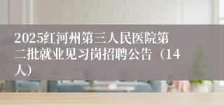 2025红河州第三人民医院第二批就业见习岗招聘公告（14人）