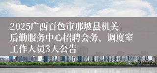 2025广西百色市那坡县机关后勤服务中心招聘会务、调度室工作人员3人公告