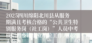 2025四川绵阳北川县从服务期满且考核合格的“公共卫生特别服务岗(社工岗)”人员中考核招聘乡镇事业单位工作人员2人公告