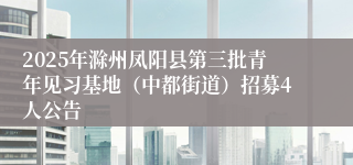 2025年滁州凤阳县第三批青年见习基地(中都街道)招募4人公告