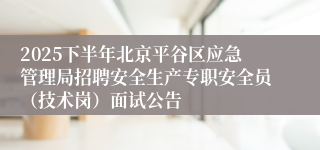 2025下半年北京平谷区应急管理局招聘安全生产专职安全员(技术岗)面试公告