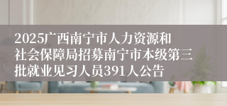 2025广西南宁市人力资源和社会保障局招募南宁市本级第三批就业见习人员391人公告