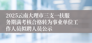 2025云南大理市三支一扶服务期满考核合格转为事业单位工作人员拟聘人员公示