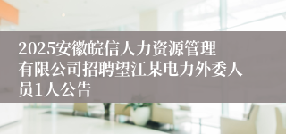 2025安徽皖信人力资源管理有限公司招聘望江某电力外委人员1人公告