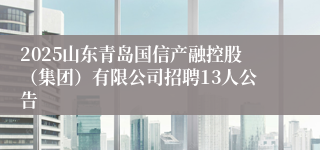 2025山东青岛国信产融控股(集团)有限公司招聘13人公告