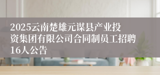 2025云南楚雄元谋县产业投资集团有限公司合同制员工招聘16人公告