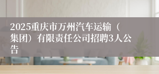 2025重庆市万州汽车运输（集团）有限责任公司招聘3人公告