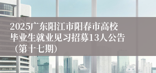 2025广东阳江市阳春市高校毕业生就业见习招募13人公告(第十七期)