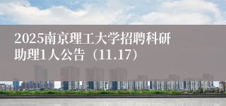 2025南京理工大学招聘科研助理1人公告(11.17)