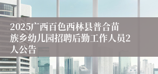 2025广西百色西林县普合苗族乡幼儿园招聘后勤工作人员2人公告