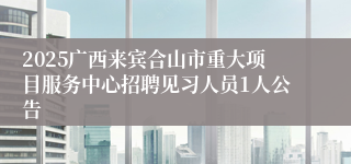 2025广西来宾合山市重大项目服务中心招聘见习人员1人公告