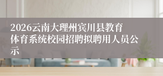 2026云南大理州宾川县教育体育系统校园招聘拟聘用人员公示
