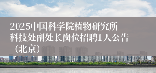 2025中国科学院植物研究所科技处副处长岗位招聘1人公告(北京)