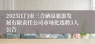 2025江门市三合硒泉旅游发展有限责任公司市场化选聘3人公告