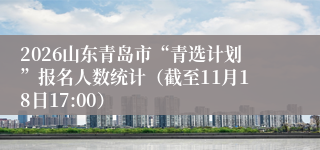 2026山东青岛市“青选计划”报名人数统计（截至11月18日17:00）