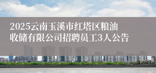2025云南玉溪市红塔区粮油收储有限公司招聘员工3人公告