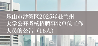 乐山市沙湾区2025年赴兰州大学公开考核招聘事业单位工作人员的公告（16人）