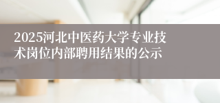 2025河北中医药大学专业技术岗位内部聘用结果的公示