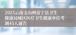 2025云南文山州富宁县卫生健康局城区医疗卫生健康单位考调45人通告
