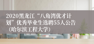 2020黑龙江“八角湾优才计划”优秀毕业生选聘55人公告（哈尔滨工程大学）