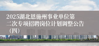 2025湖北恩施州事业单位第二次专项招聘岗位计划调整公告（四）