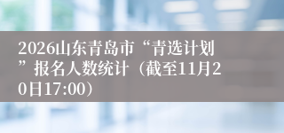 2026山东青岛市“青选计划”报名人数统计（截至11月20日17:00）