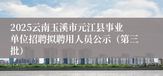 2025云南玉溪市元江县事业单位招聘拟聘用人员公示(第三批)
