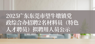 2025广东东莞市望牛墩镇党政综合办招聘2名材料员(特色人才聘员)拟聘用人员公示