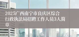 2025广西南宁市良庆区综合行政执法局招聘工作人员3人简章