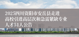 2025四川资阳市安岳县走进高校引进高层次和急需紧缺专业人才51人公告