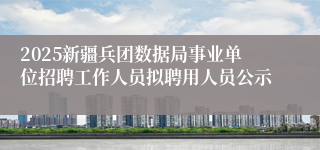 2025新疆兵团数据局事业单位招聘工作人员拟聘用人员公示