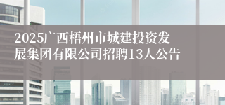 2025广西梧州市城建投资发展集团有限公司招聘13人公告