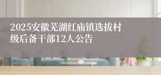2025安徽芜湖红庙镇选拔村级后备干部12人公告