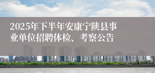 2025年下半年安康宁陕县事业单位招聘体检、考察公告