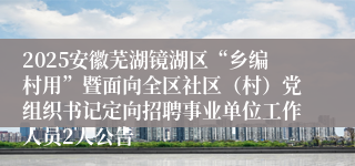 2025安徽芜湖镜湖区“乡编村用”暨面向全区社区(村)党组织书记定向招聘事业单位工作人员2人公告